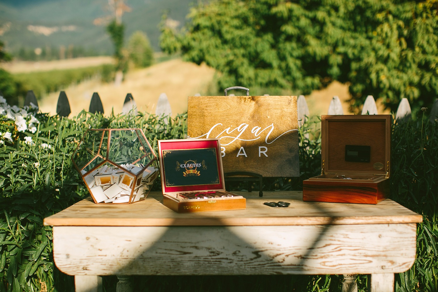 wedding-submission-from-nora-sheils