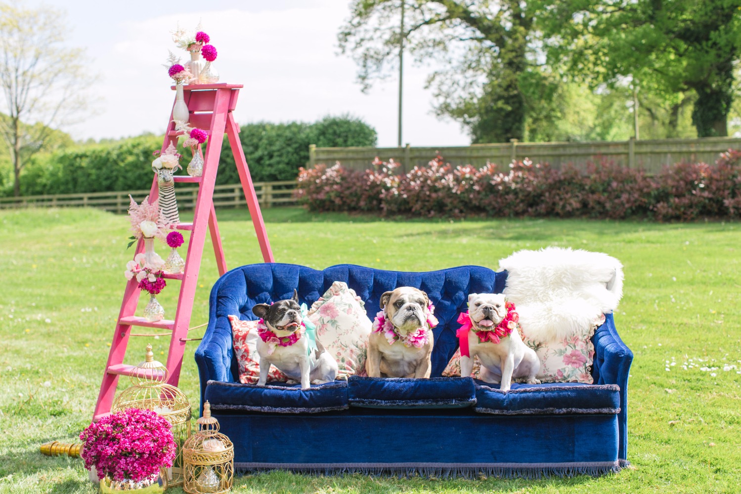wedding-submission-from-something-blue