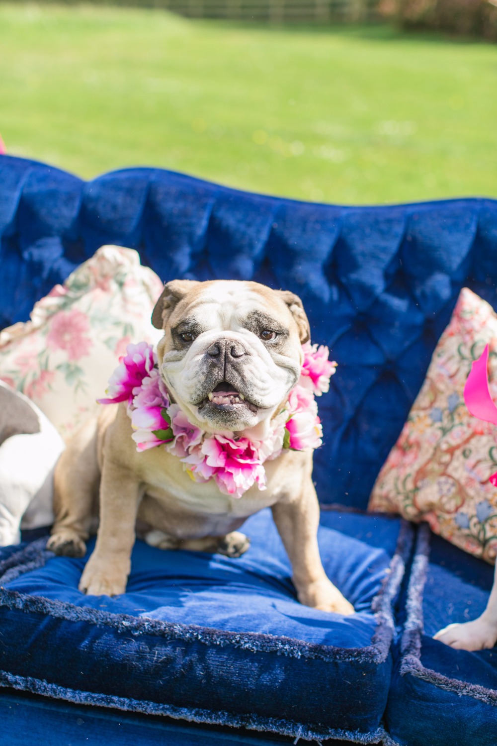 wedding-submission-from-something-blue