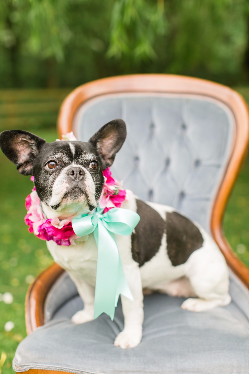 wedding-submission-from-something-blue
