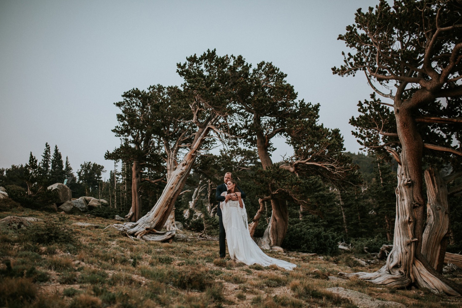 wedding-submission-from-whimsy-design