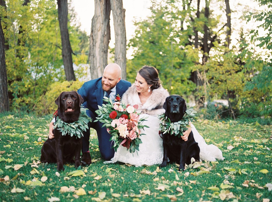 wedding dogs