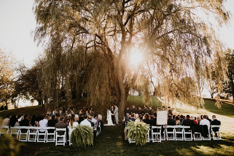 Outdoor ceremony under a tree