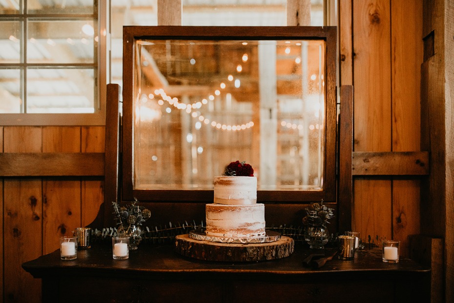Simple naked cake