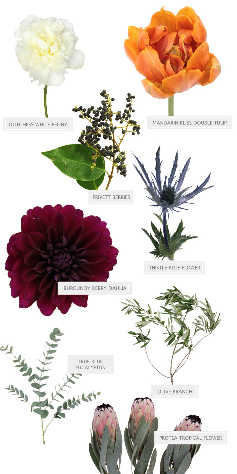 FiftyFlowers bouquet recipe
