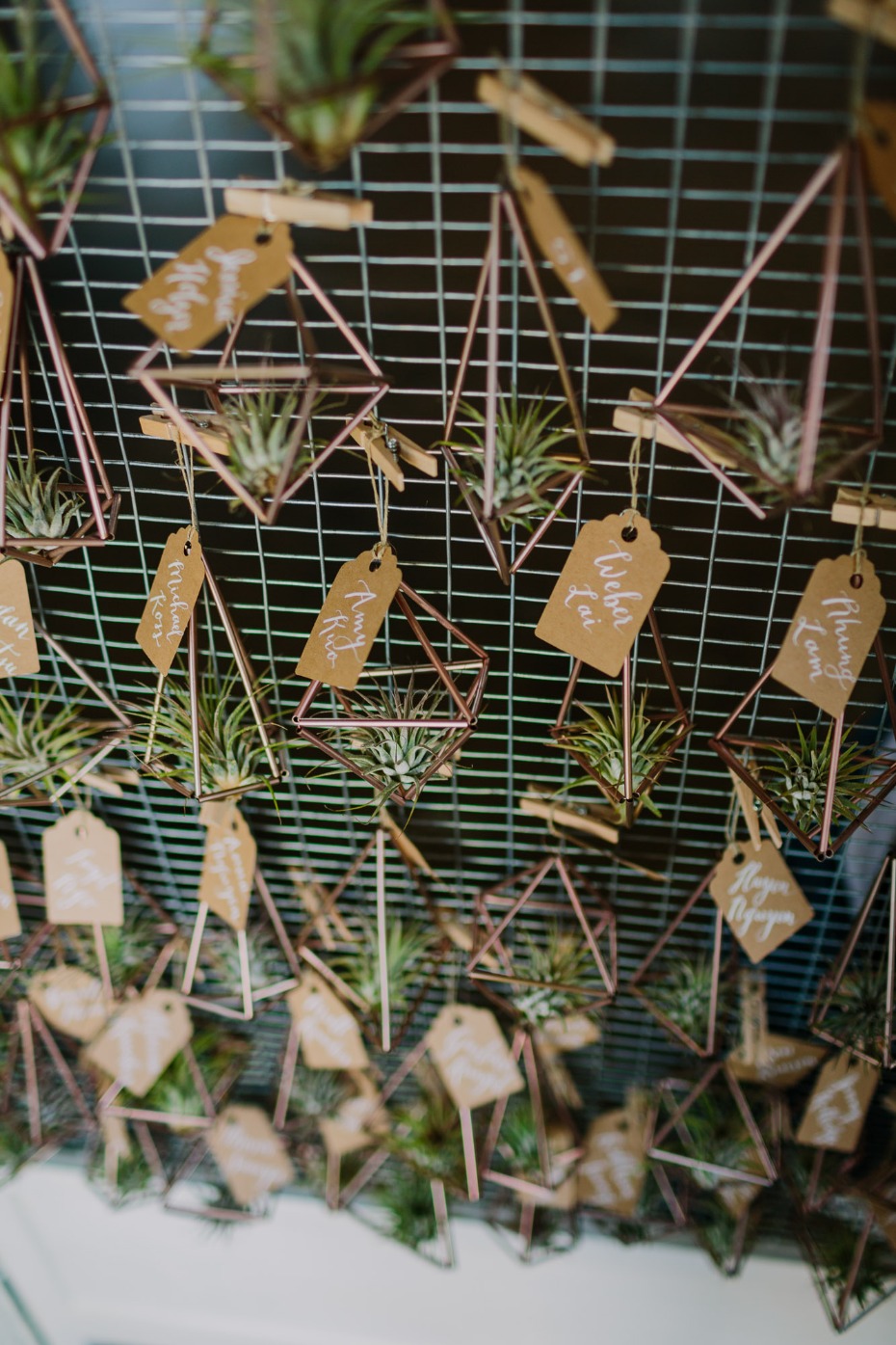 Seating chart with hanging airplants