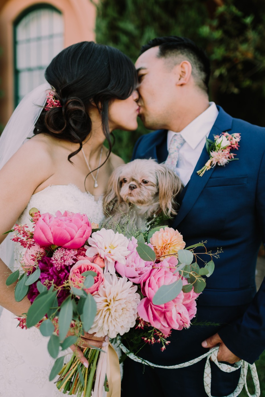 Don't forget your furry friends on your wedding day