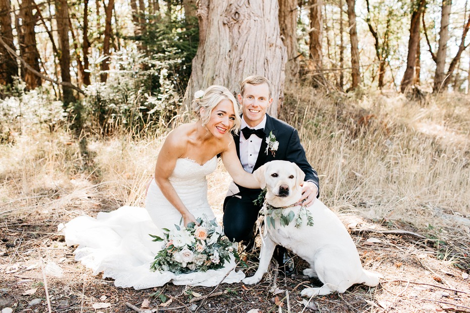 bride groom and wedding dog