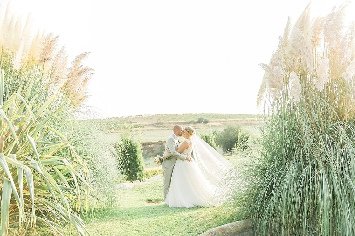 this-sunshine-filled-wedding-is-about