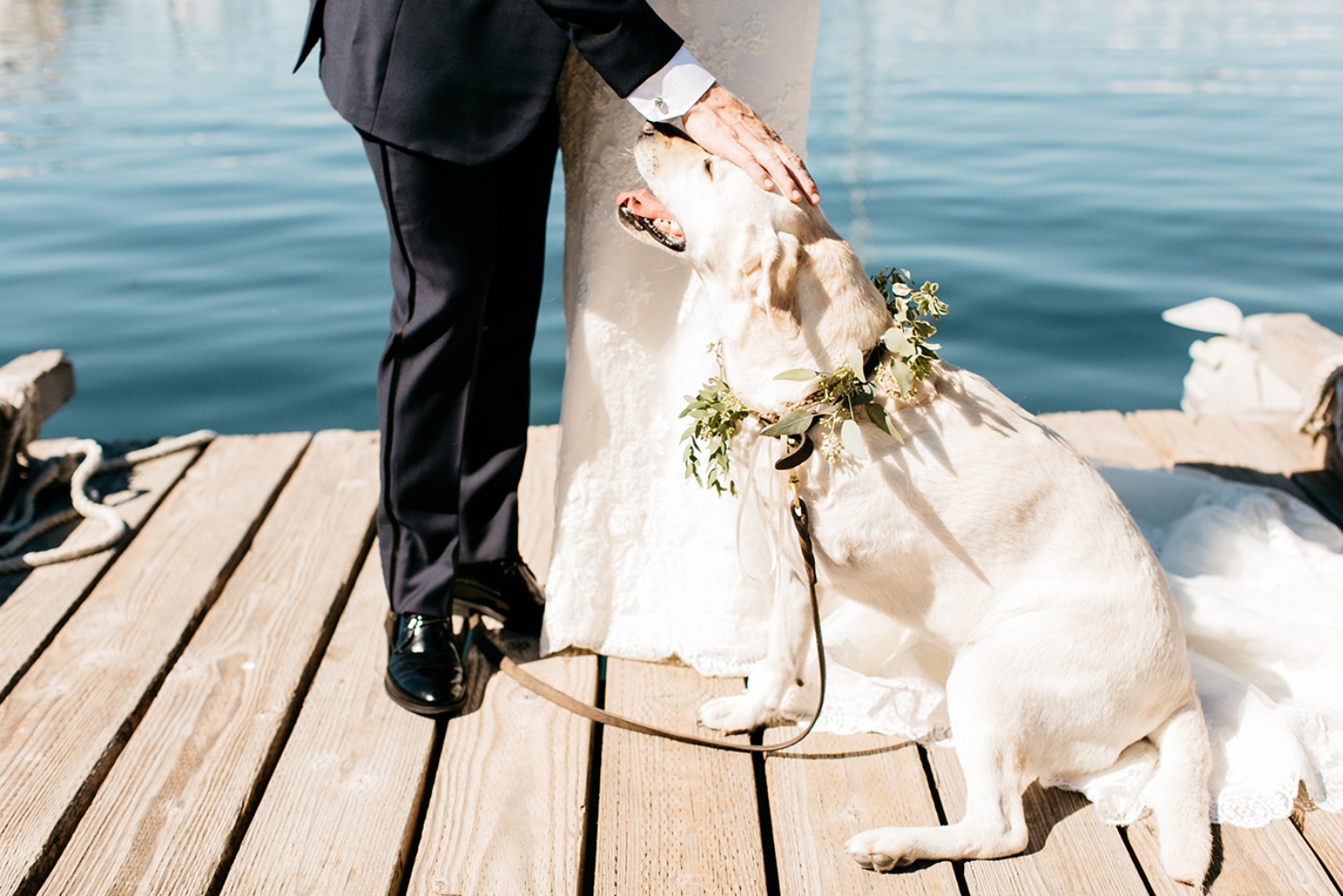 wedding-submission-from-catie-coyle