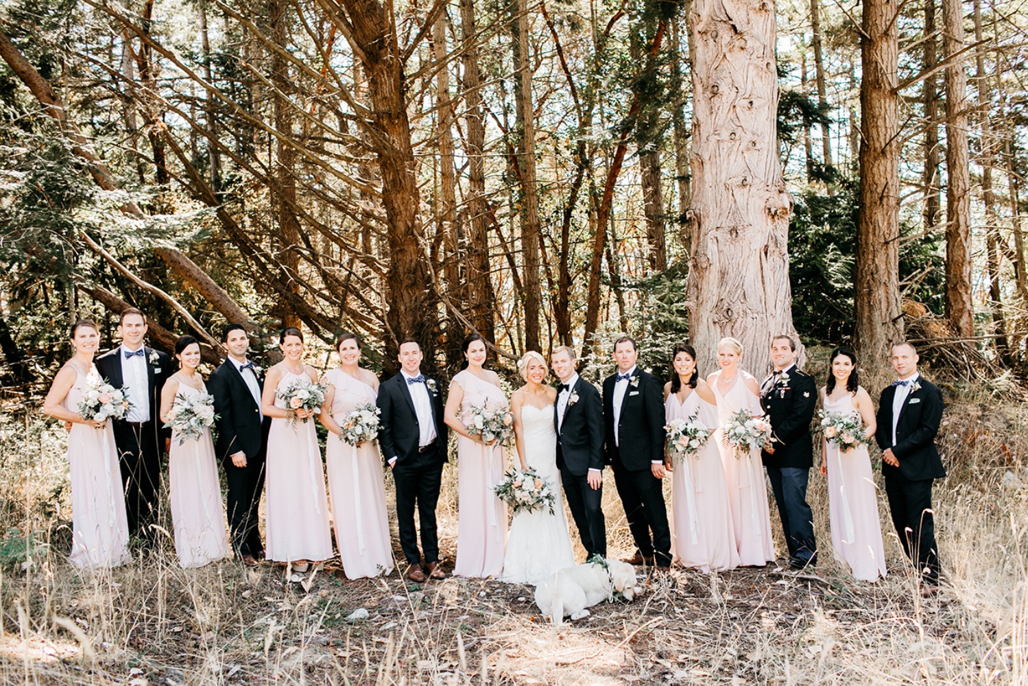 wedding-submission-from-catie-coyle