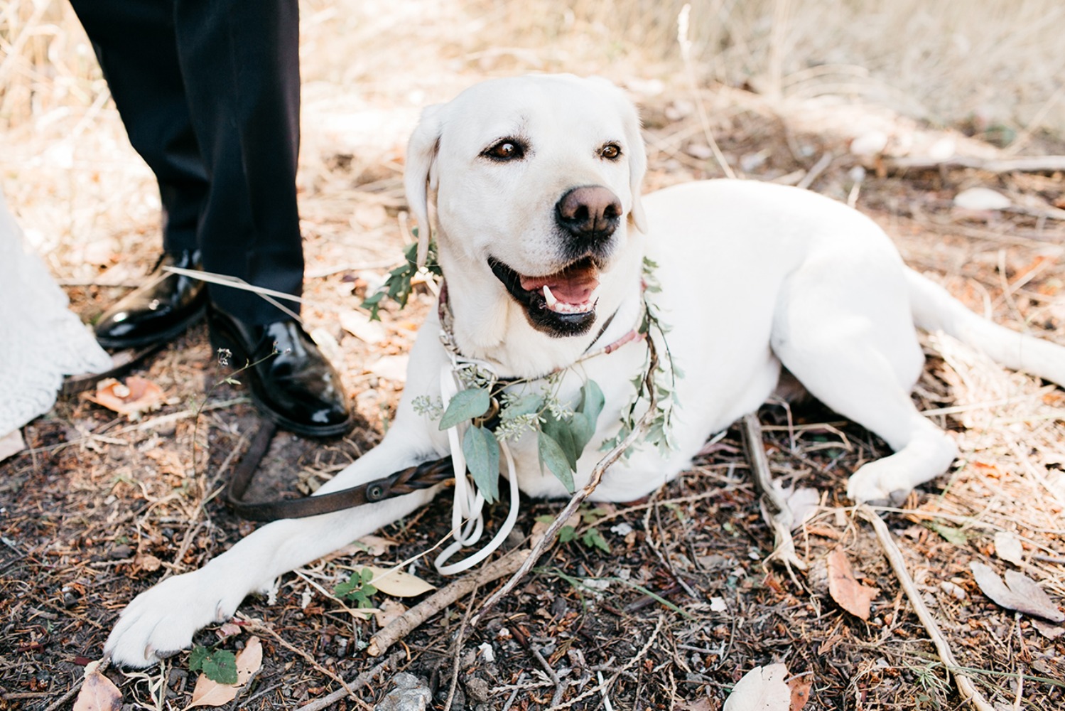 wedding-submission-from-catie-coyle