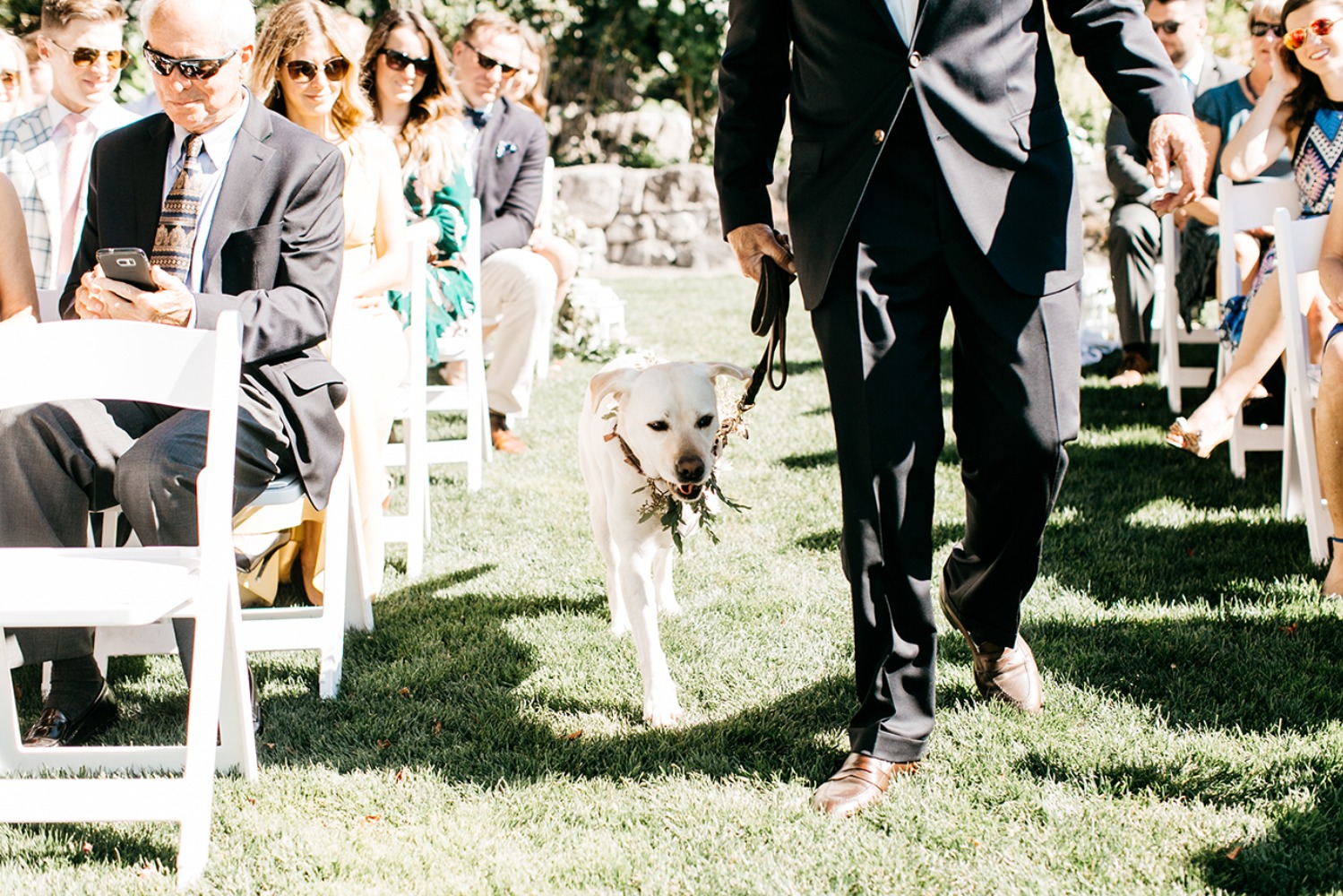 wedding-submission-from-catie-coyle