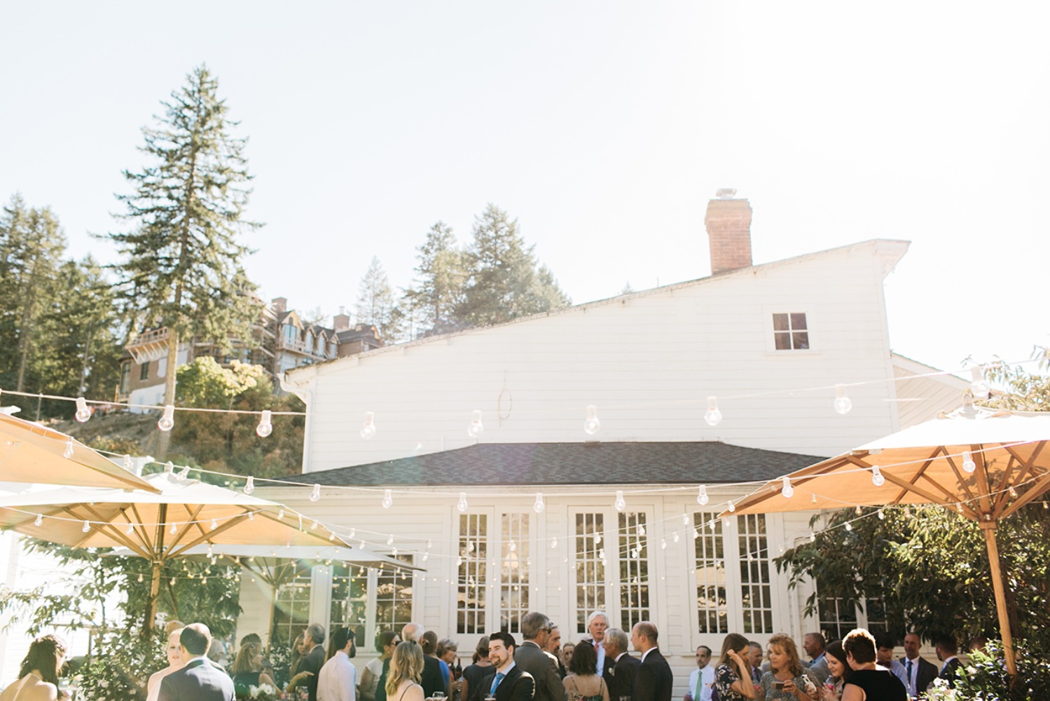 wedding-submission-from-catie-coyle