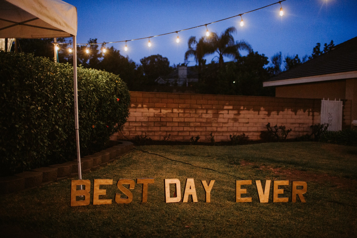 wedding-submission-from-let-s-frolic