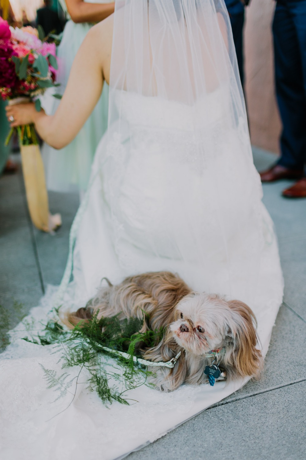 wedding-submission-from-let-s-frolic