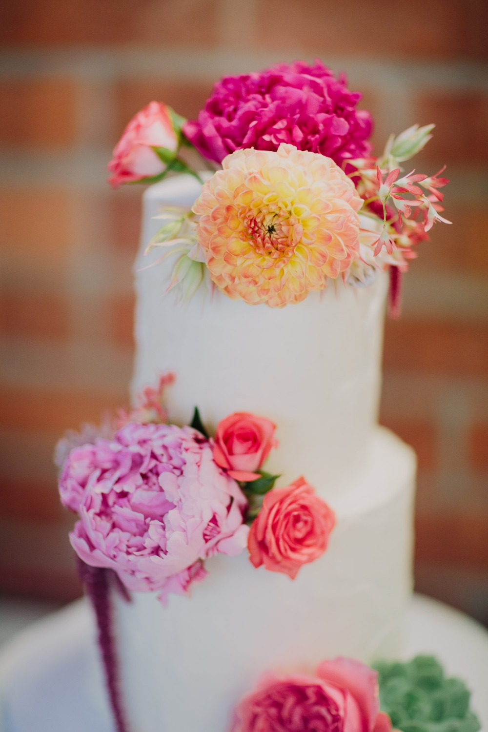 wedding-submission-from-let-s-frolic