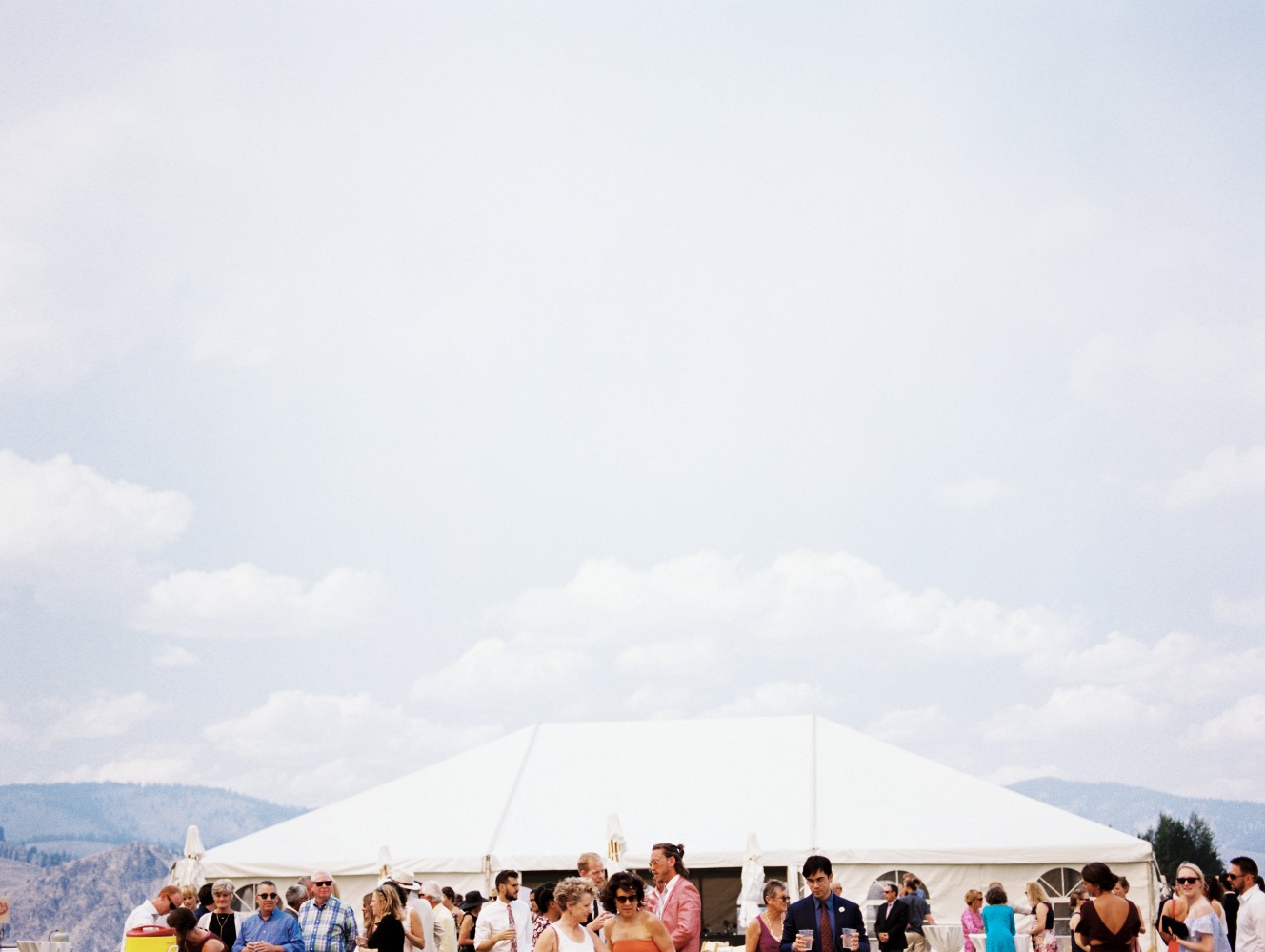 wedding-submission-from-megan-robinson
