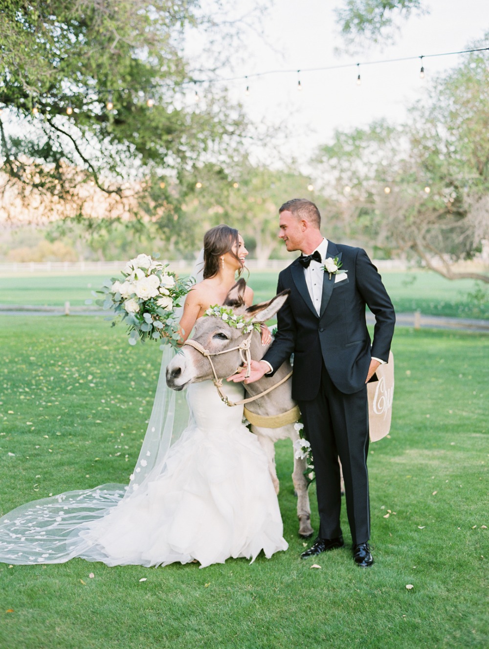 wedding-submission-from-rachel-solomon