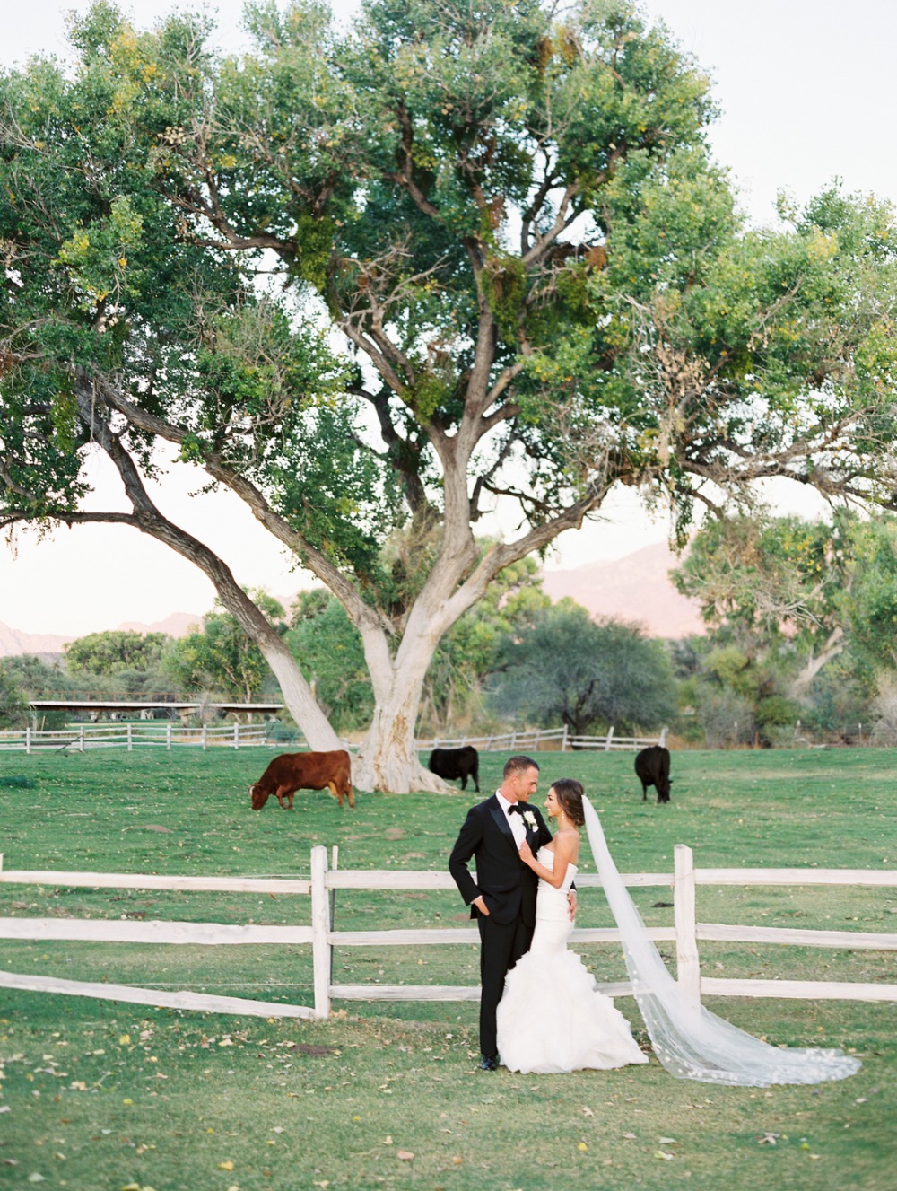 wedding-submission-from-rachel-solomon