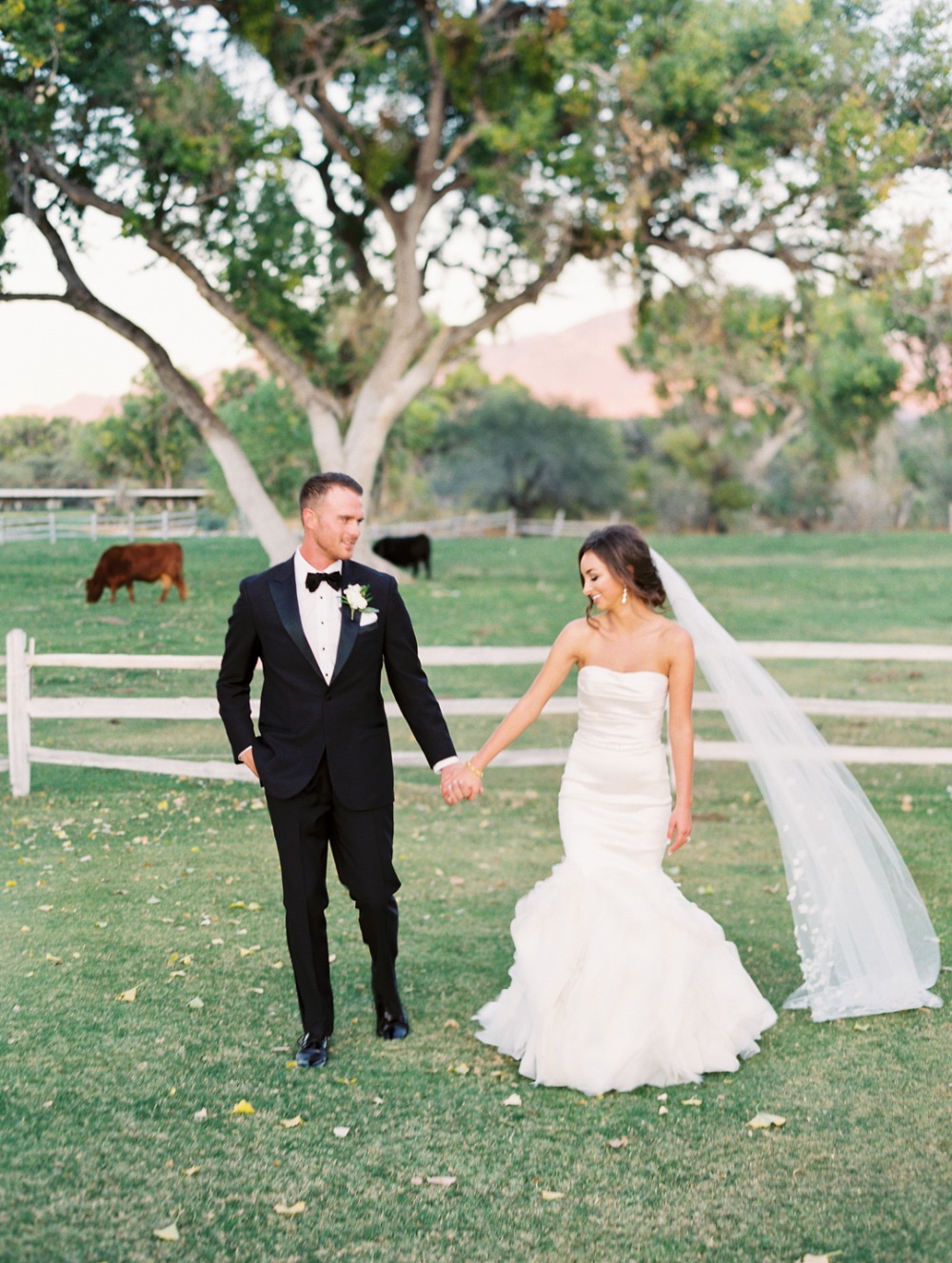 wedding-submission-from-rachel-solomon