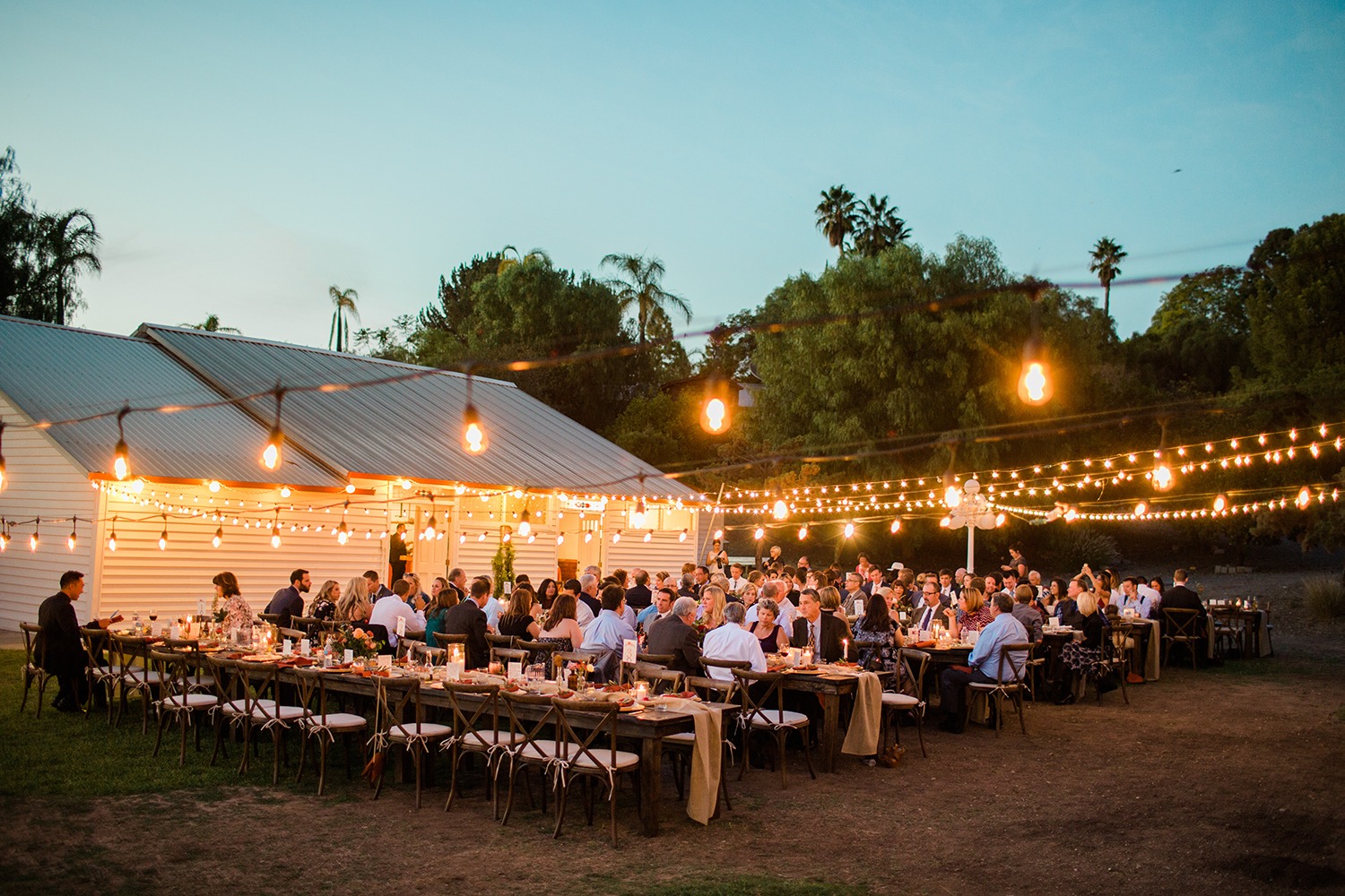 wedding-submission-from-to-have-amp