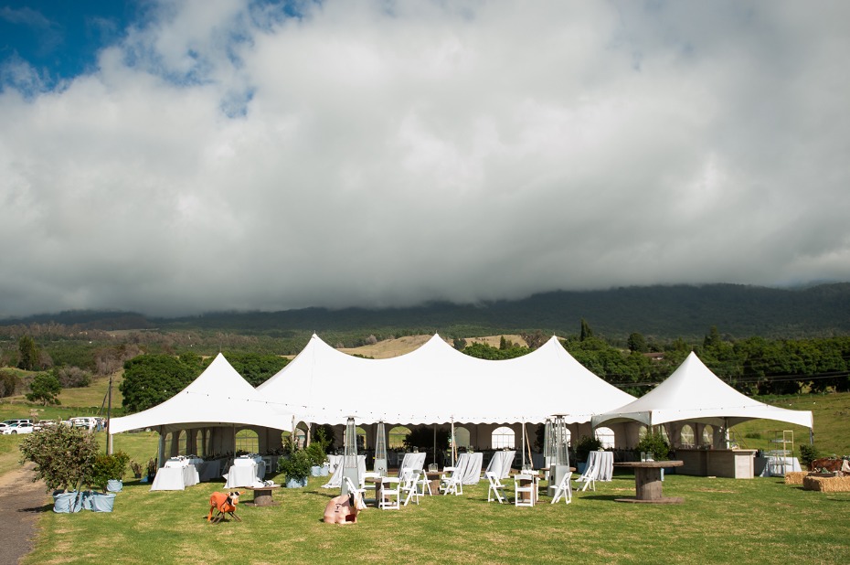 Tent reception in Maui