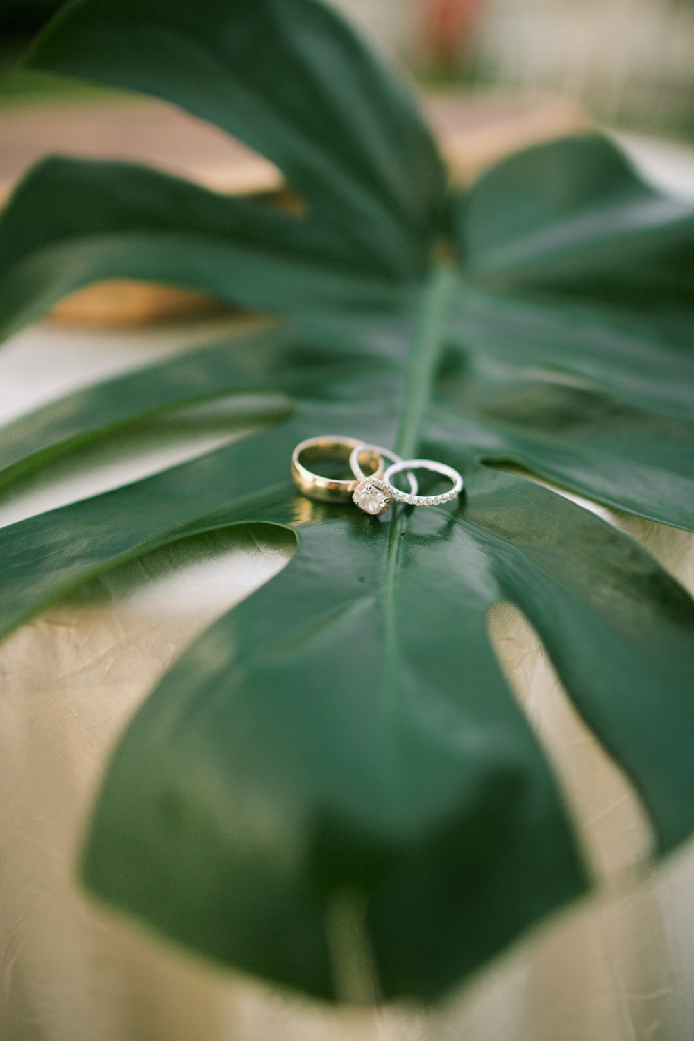 a-vintage-boho-chic-hawaiian-wedding