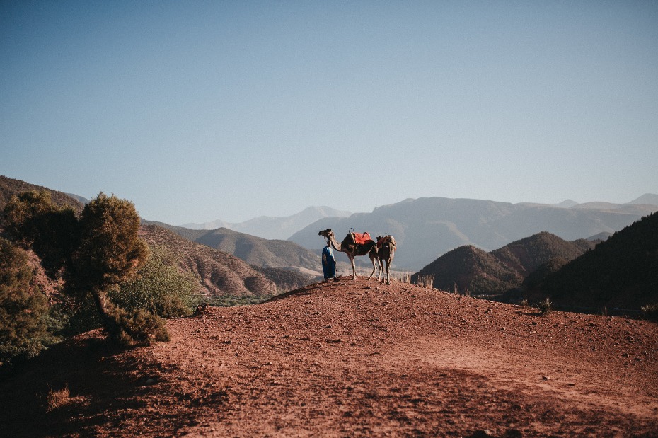 ride a camel at your Moroccan wedding