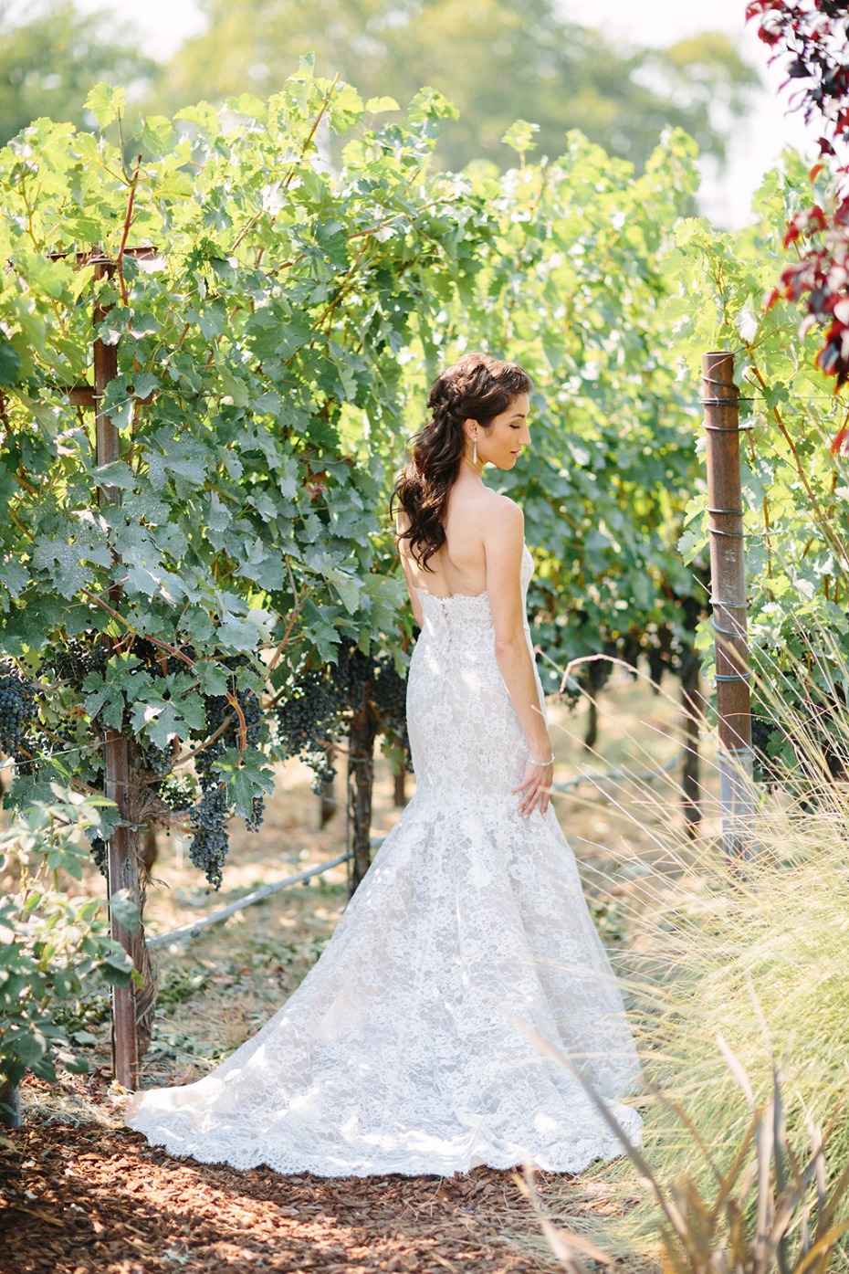 winery wedding photo ideas