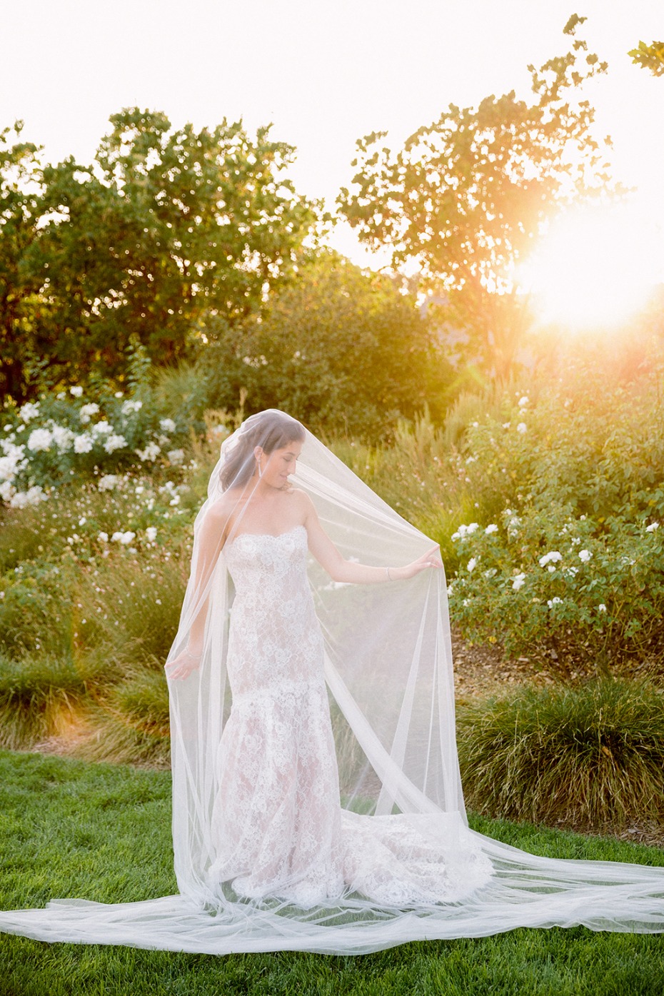 bridal photo ideas with your wedding veil
