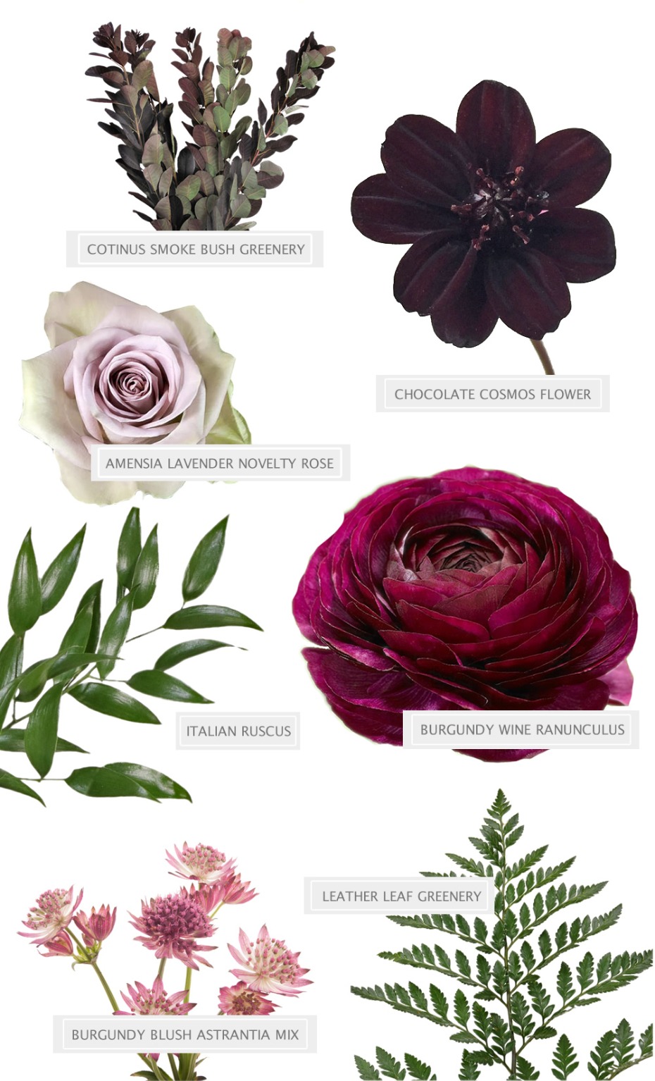 fiftyflowersmini2