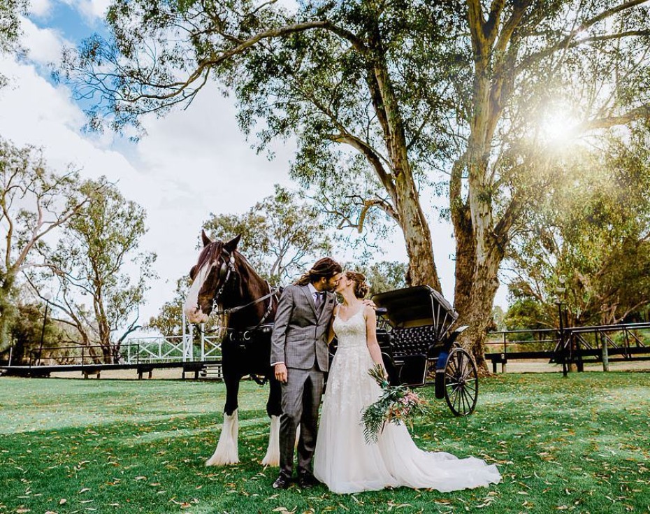 Horse and Carriage Wedding Trend
