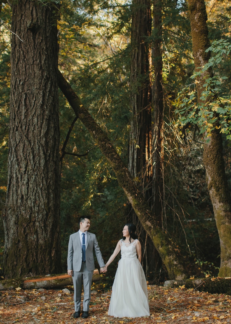 Take wedding pictures in the woods