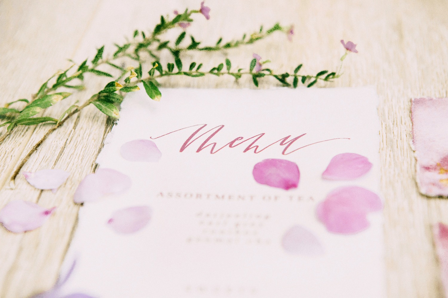 this-untamed-wedding-shoot-is-g-l-a-m