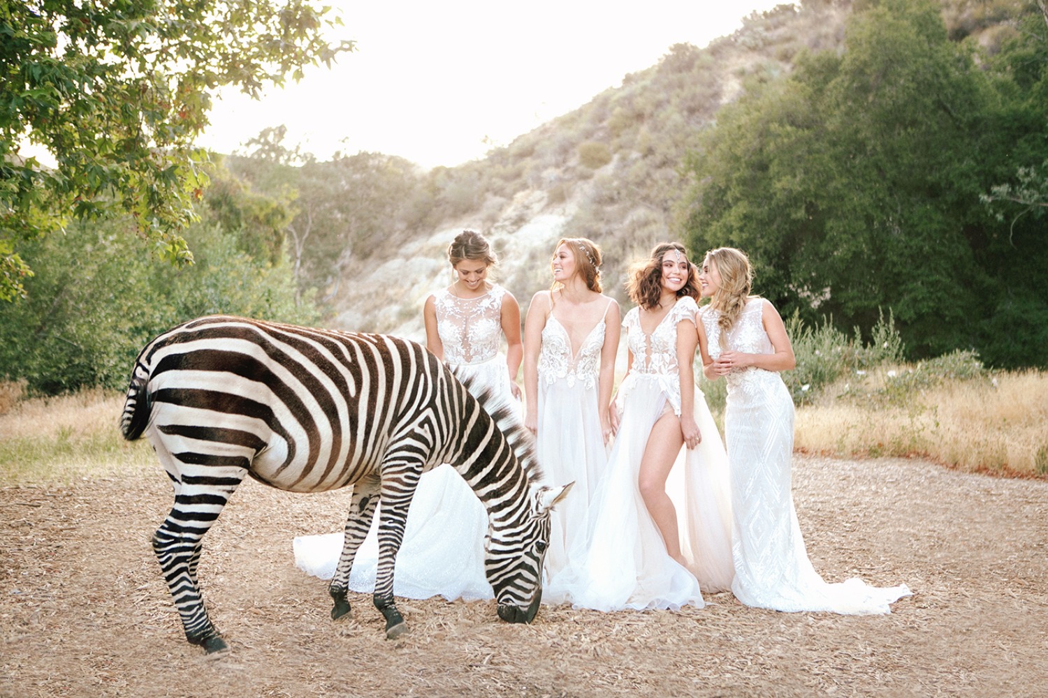 this-untamed-wedding-shoot-is-g-l-a-m