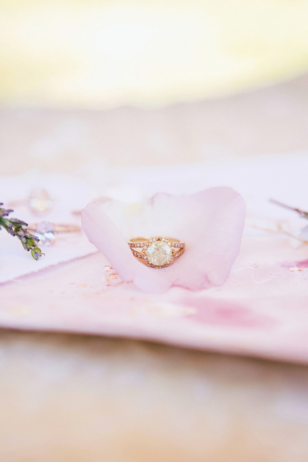 this-untamed-wedding-shoot-is-g-l-a-m