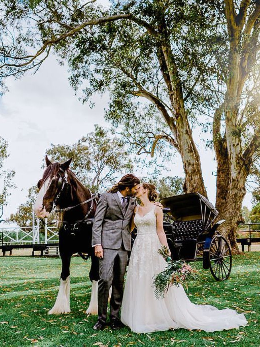 Wait, Did We All Just Consider a Horse and Carriage Ride?
