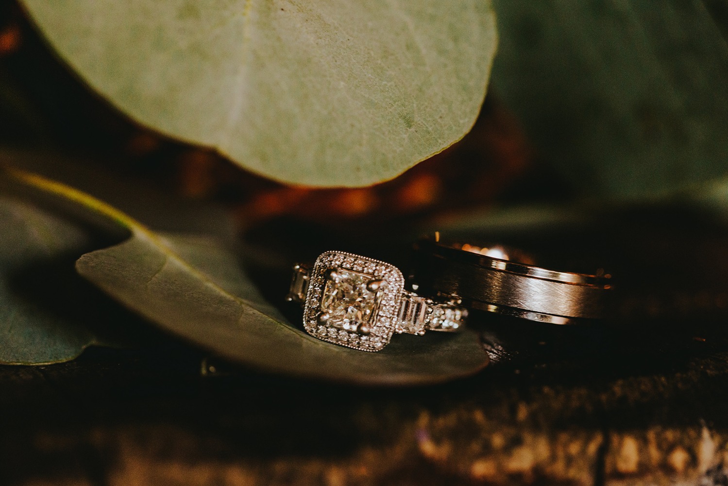wedding-submission-from-danica-johnson