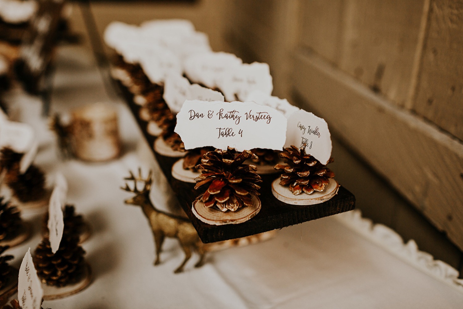 wedding-submission-from-gina-paulson