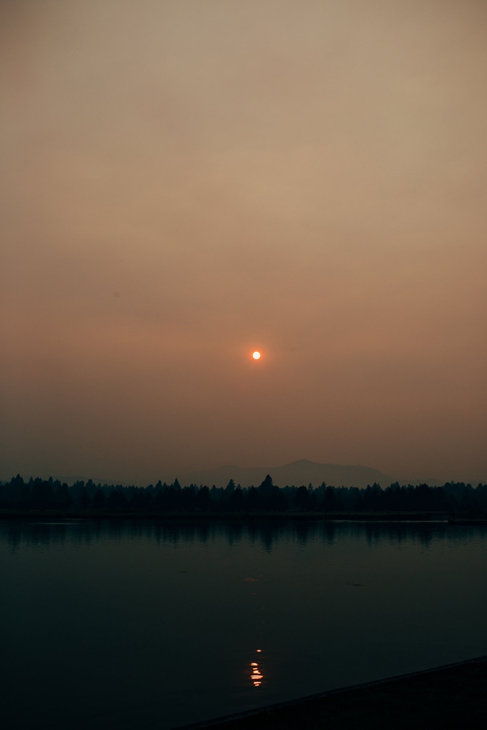 wedding-submission-from-gina-paulson