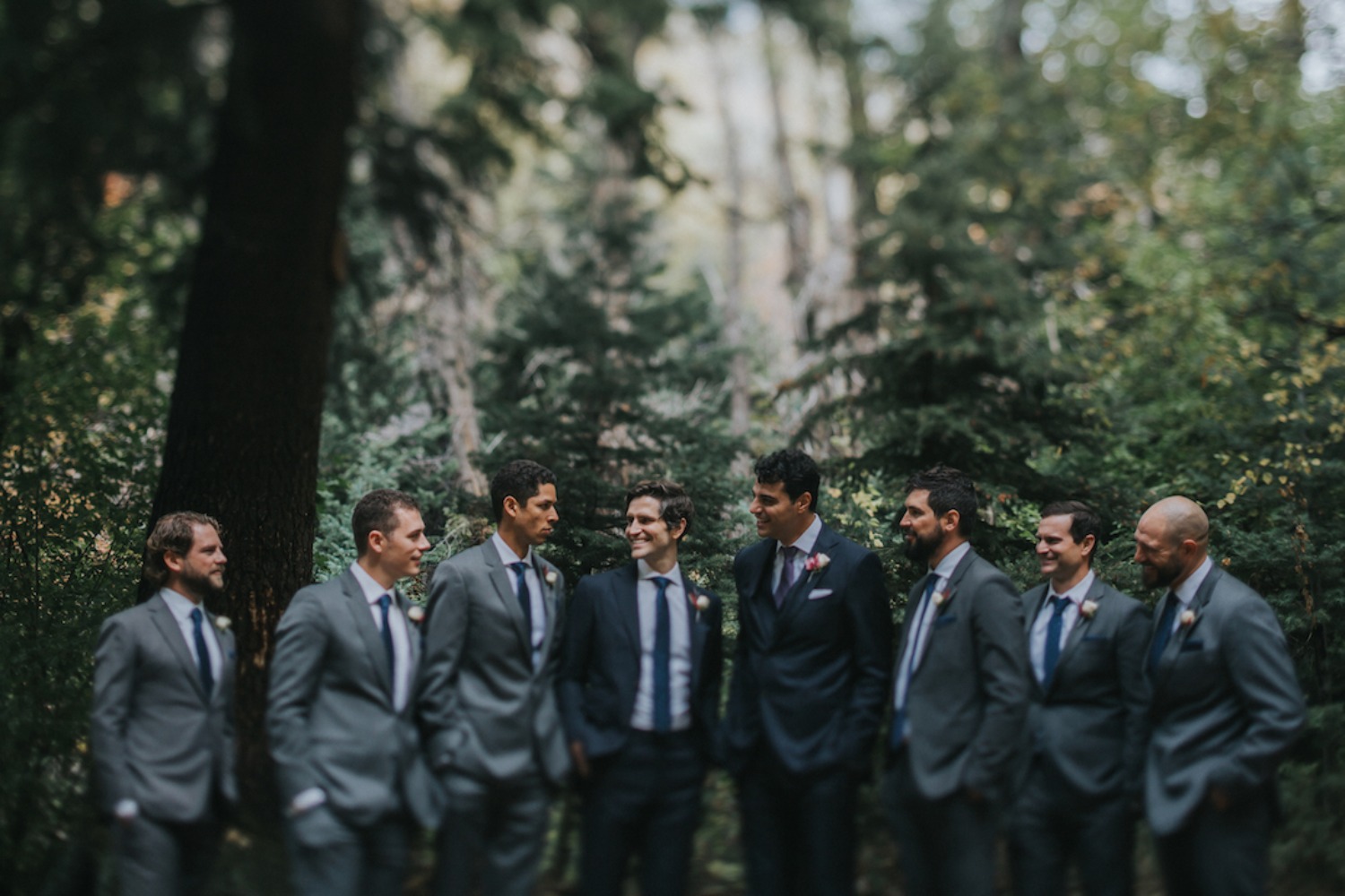 wedding-submission-from-vivince