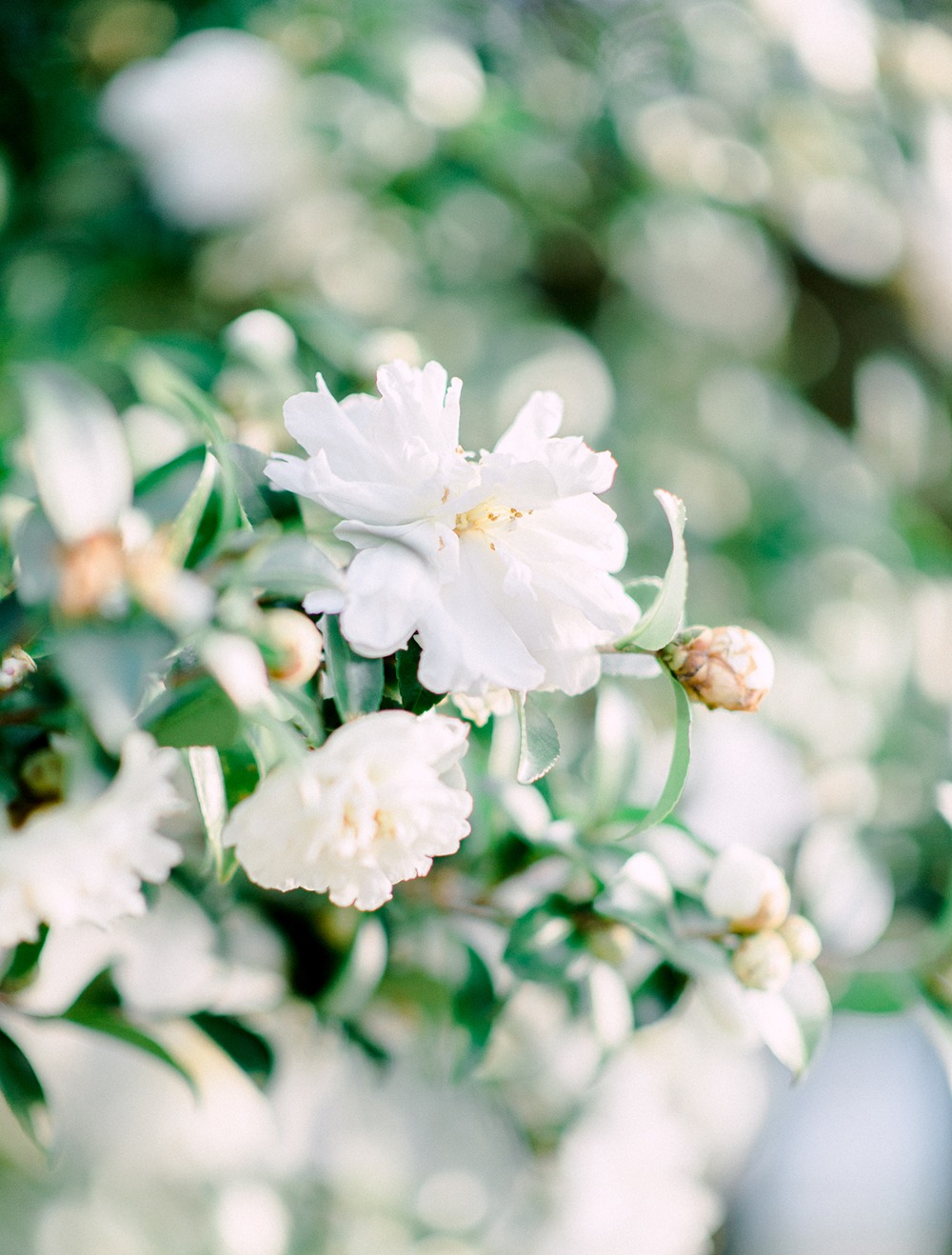 a-glam-ballroom-wedding-in-alabama