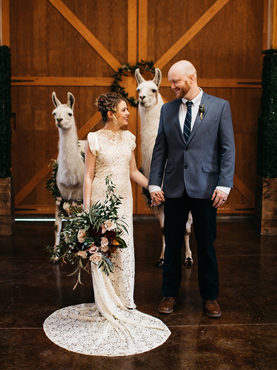 A Rustic Chic Llama Wedding at Younger Ranch