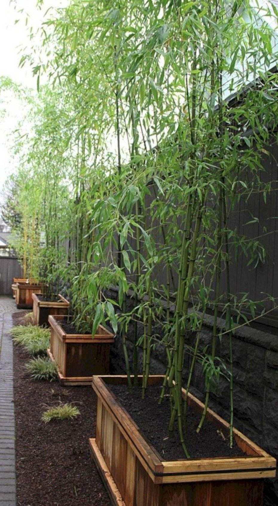 bamboo-wall