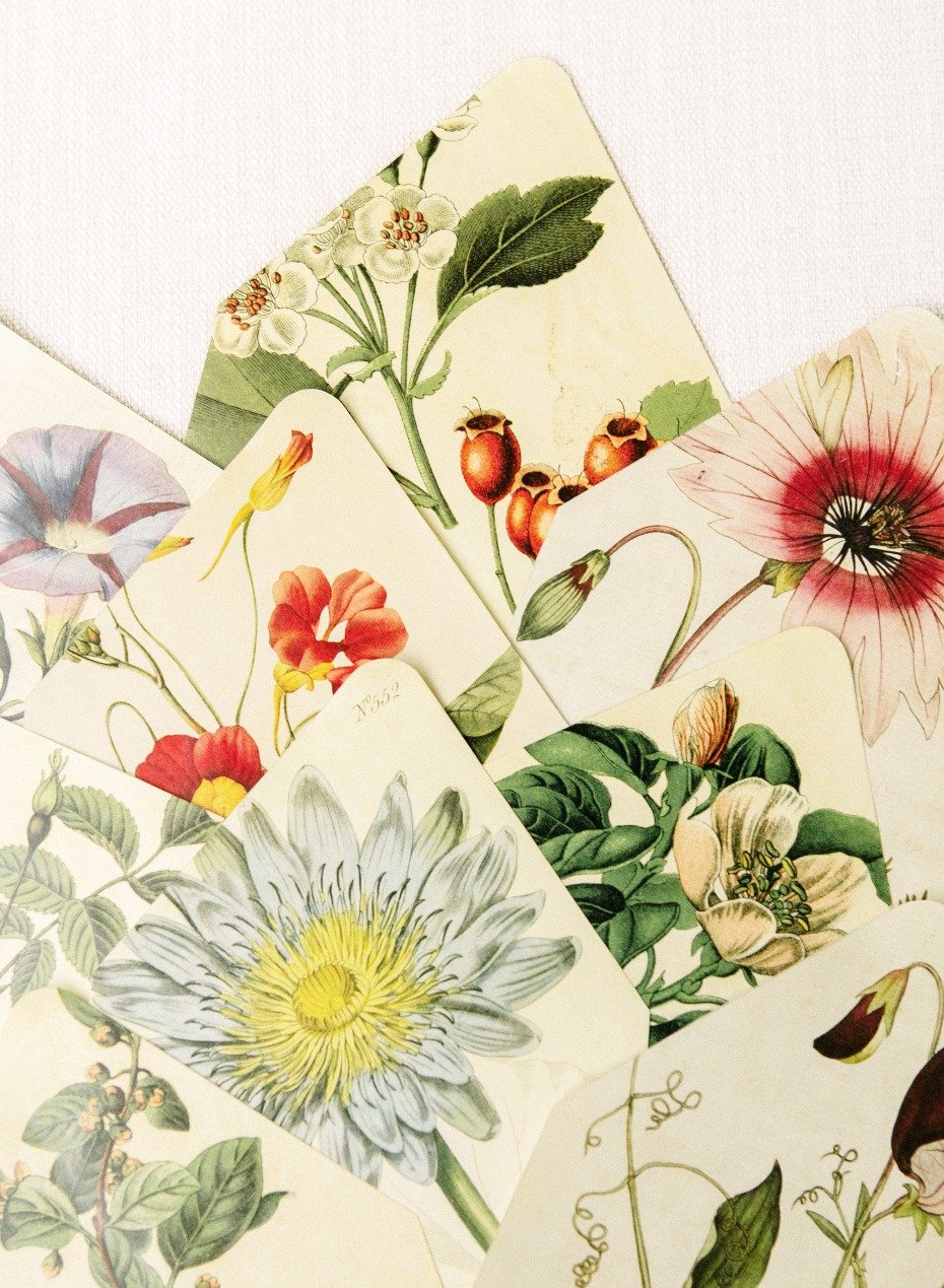 DIY Floral Envelope Liners by Christina McNeill and Adelphi Events
