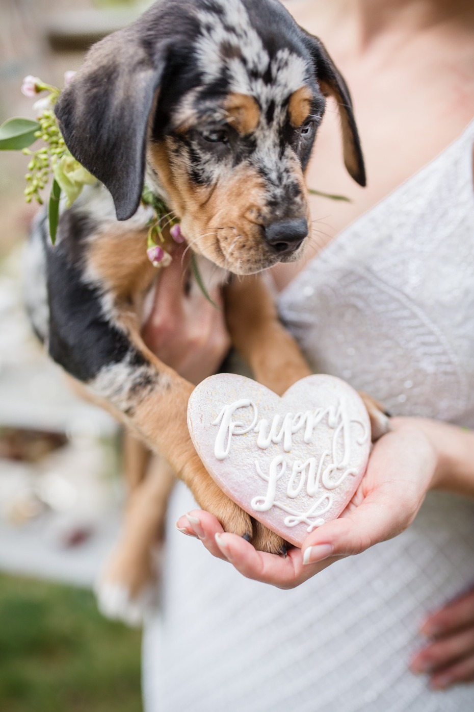 puppy love wedding ideas