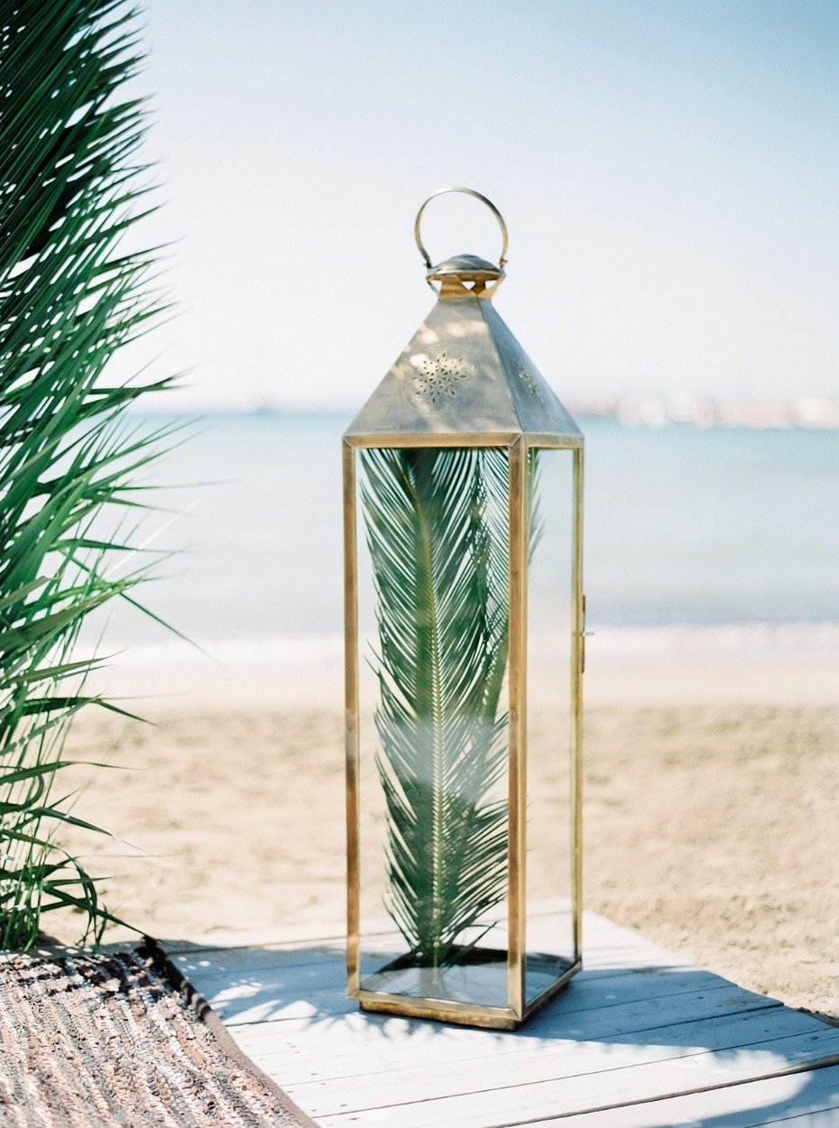 palm frond in a vintage lantern