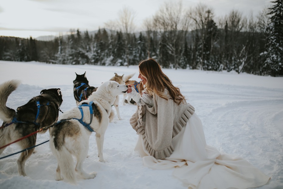 bride and huskies