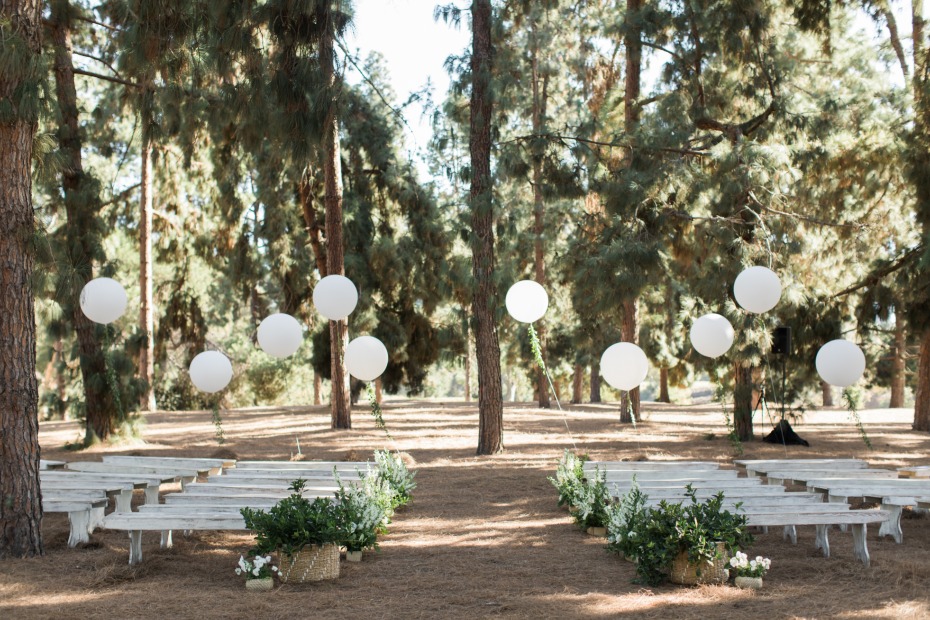 Pine forest ceremony in the heart of LA
